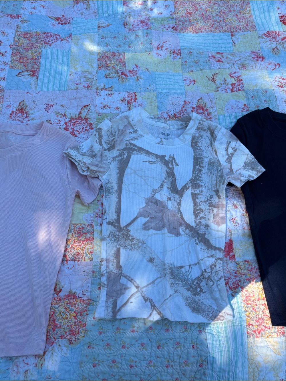 Hollister Neutral Tree-Print Short Sleeve Tee with Beige Graphics